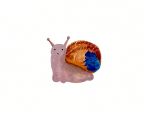 Snail (book)